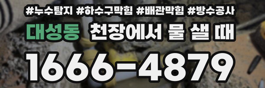 대성동 천장에서 물 샐 때