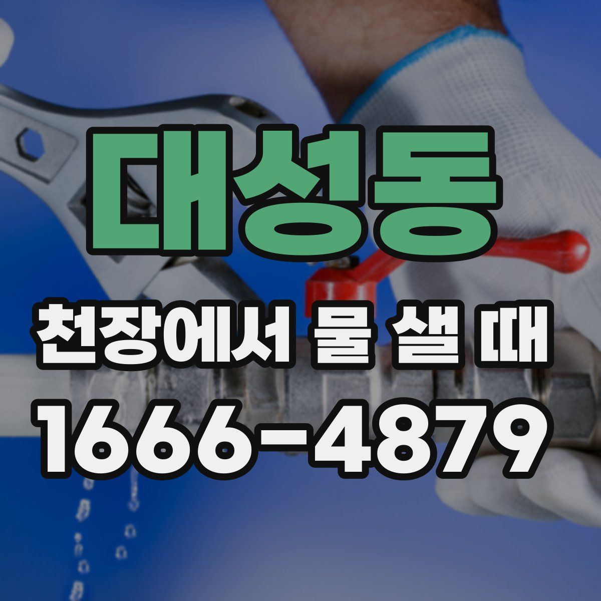 대성동 천장에서 물 샐 때