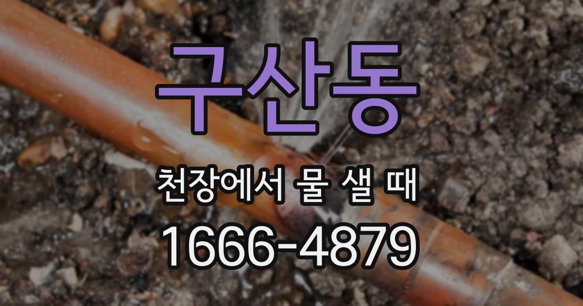 구산동 천장에서 물 샐 때