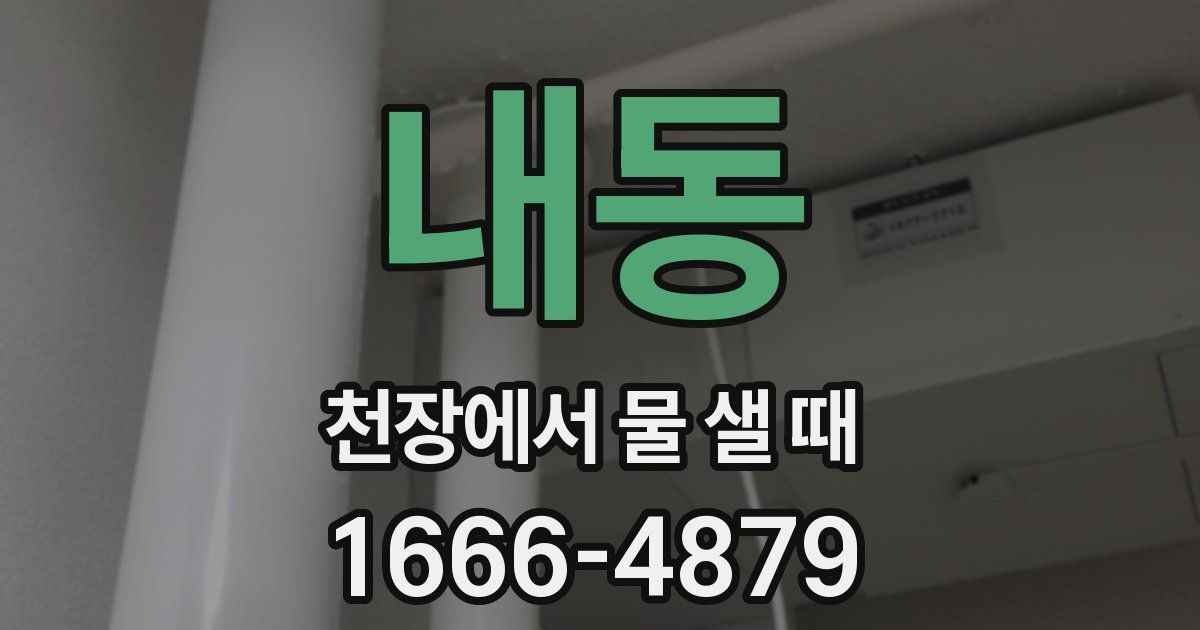 내동 천장에서 물 샐 때