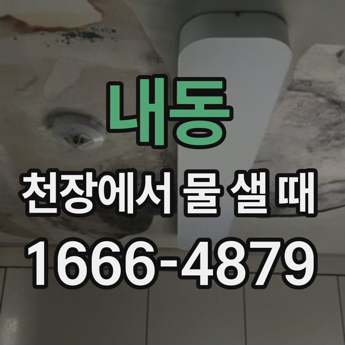 내동 천장에서 물 샐 때