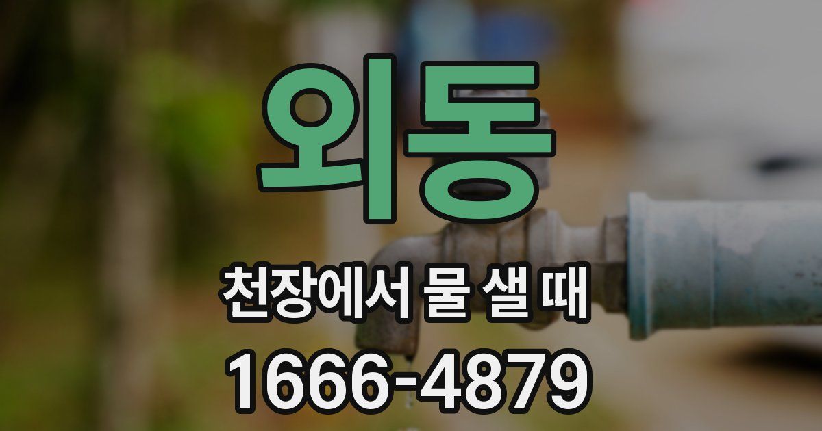 외동 천장에서 물 샐 때