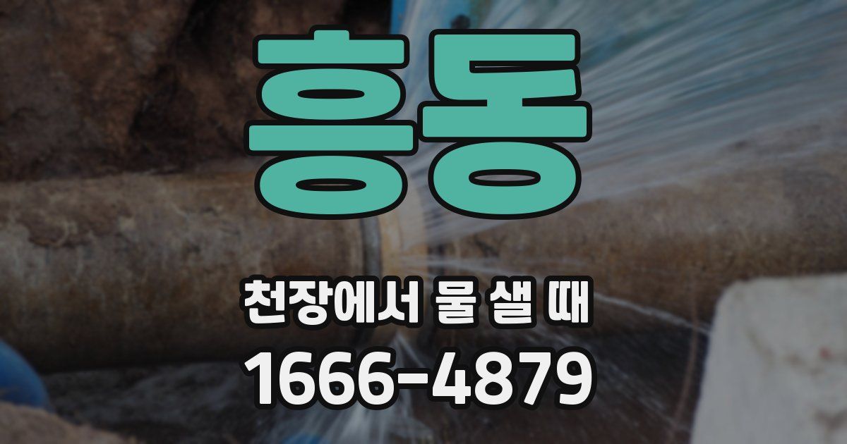 흥동 천장에서 물 샐 때