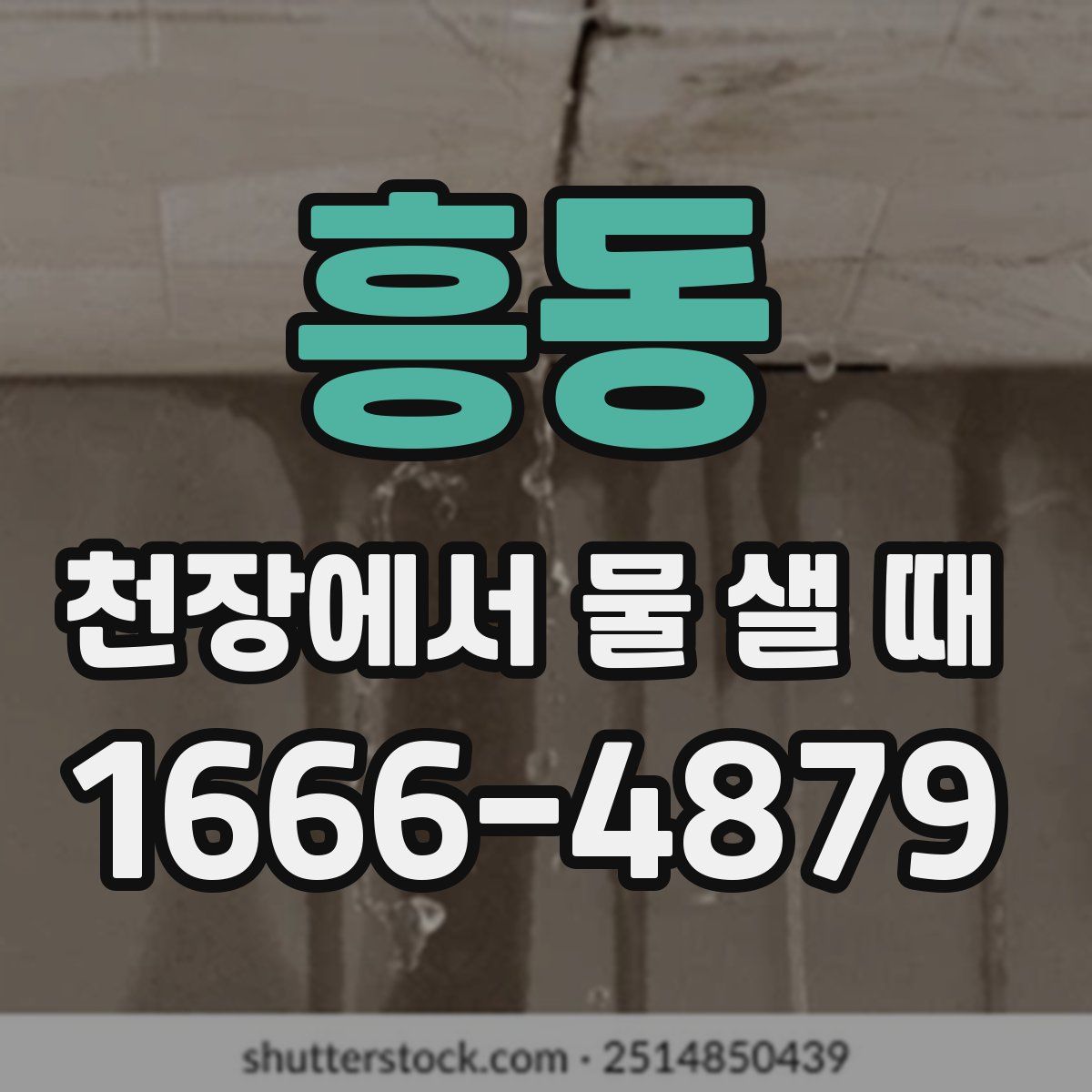 흥동 천장에서 물 샐 때
