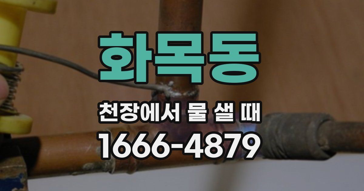 화목동 천장에서 물 샐 때