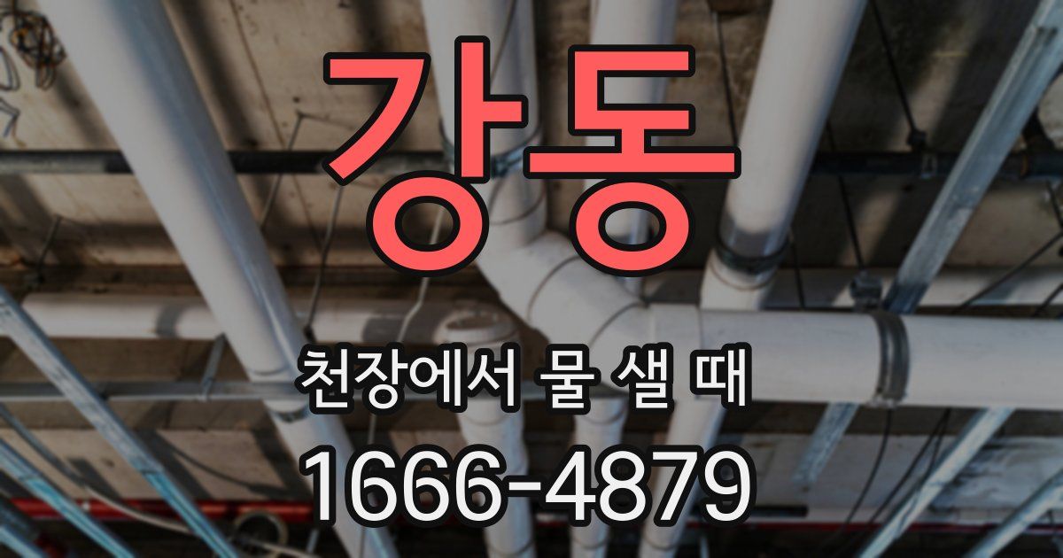 강동 천장에서 물 샐 때