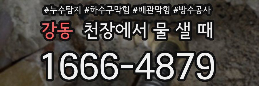 강동 천장에서 물 샐 때
