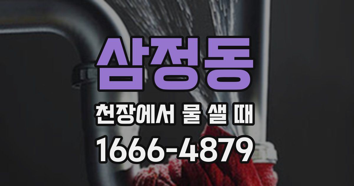 삼정동 천장에서 물 샐 때