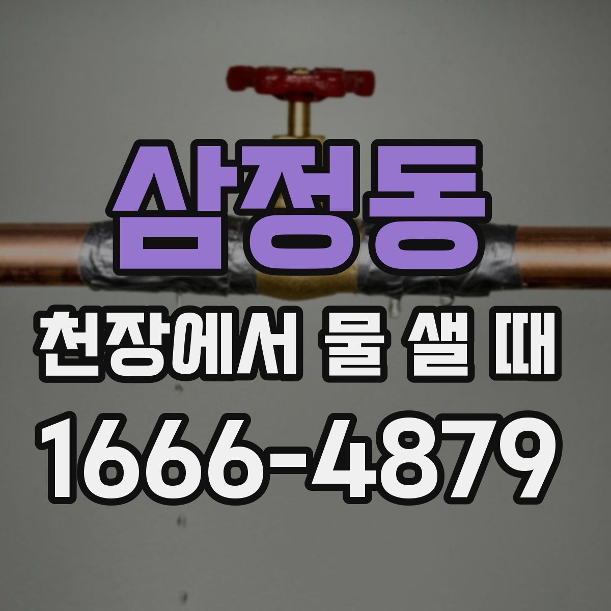 삼정동 천장에서 물 샐 때