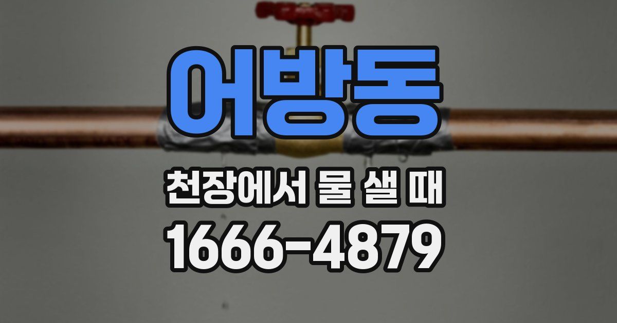 어방동 천장에서 물 샐 때