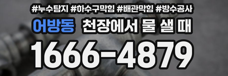 어방동 천장에서 물 샐 때