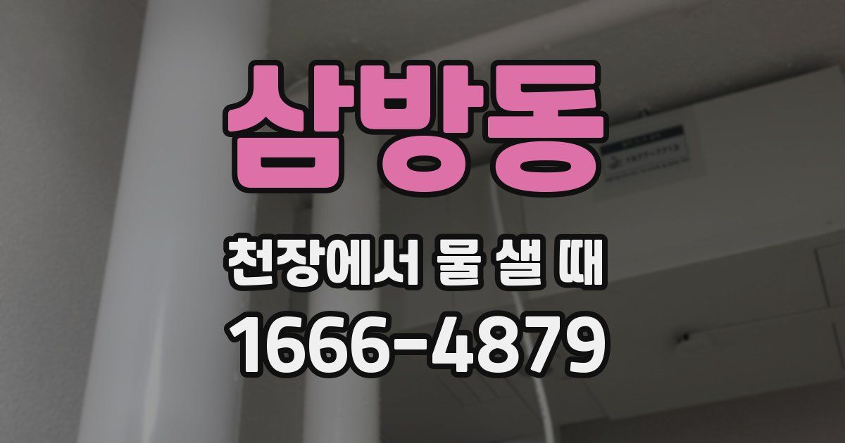 삼방동 천장에서 물 샐 때