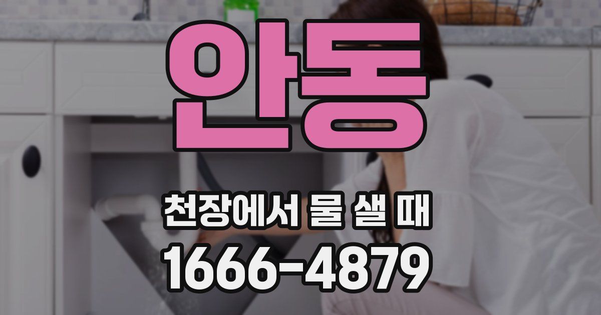 안동 천장에서 물 샐 때