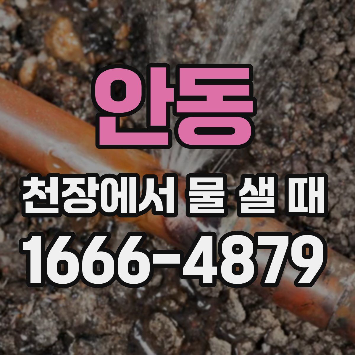 안동 천장에서 물 샐 때