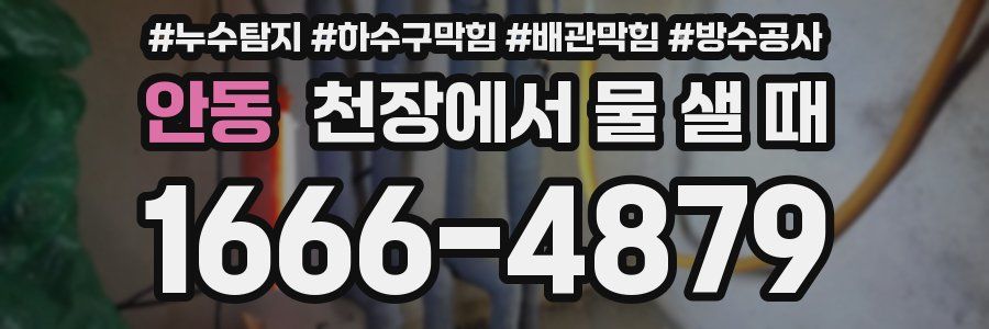 안동 천장에서 물 샐 때
