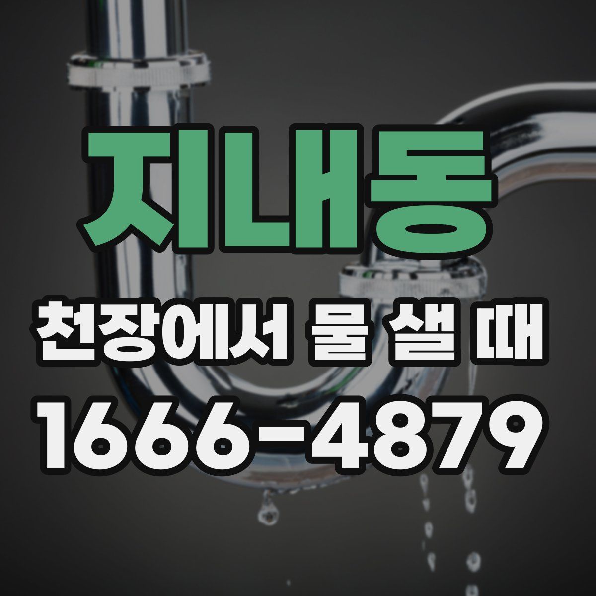 지내동 천장에서 물 샐 때