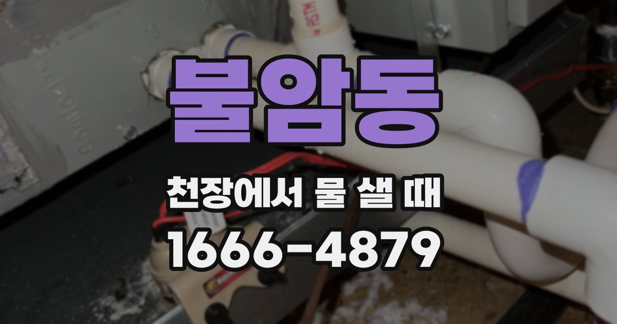 불암동 천장에서 물 샐 때