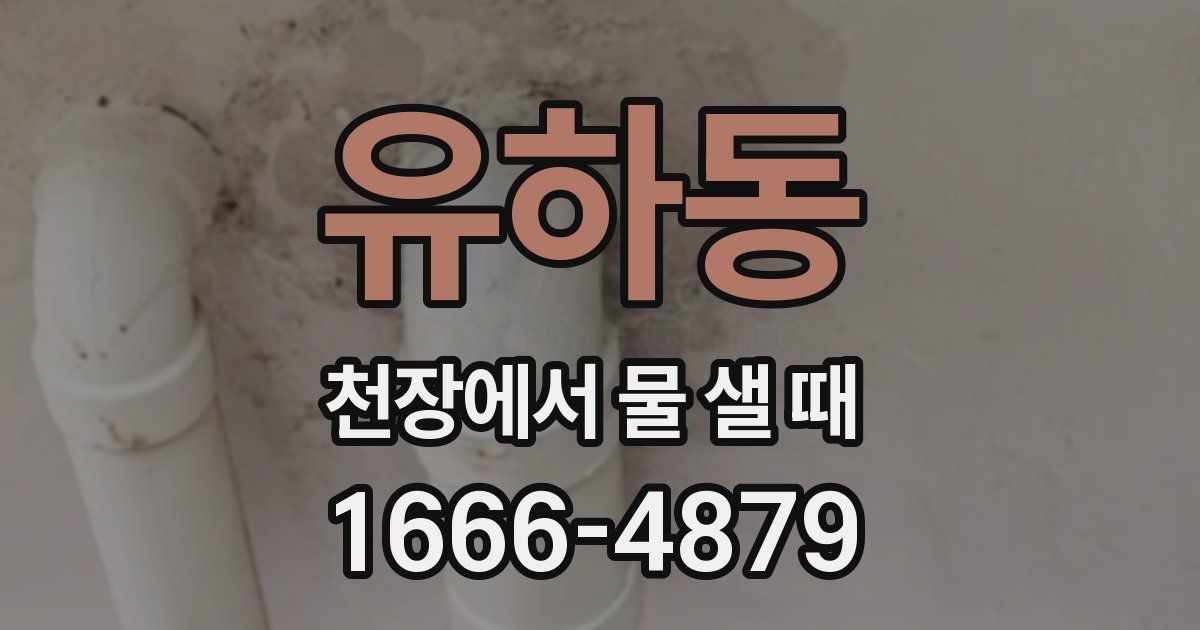 유하동 천장에서 물 샐 때