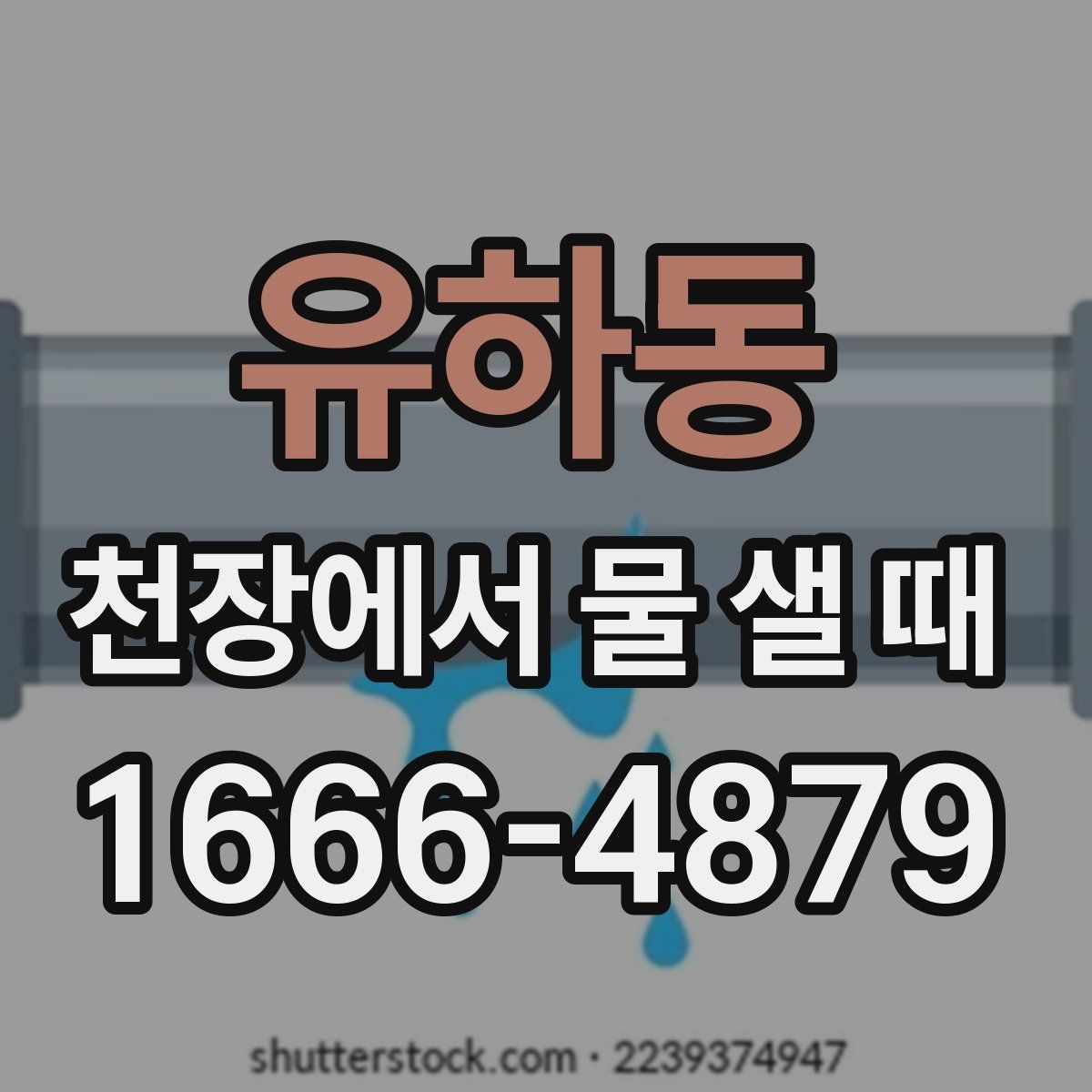 유하동 천장에서 물 샐 때
