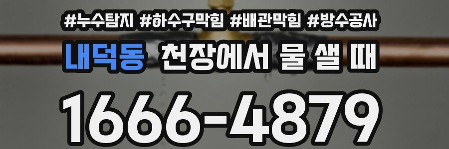내덕동 천장에서 물 샐 때