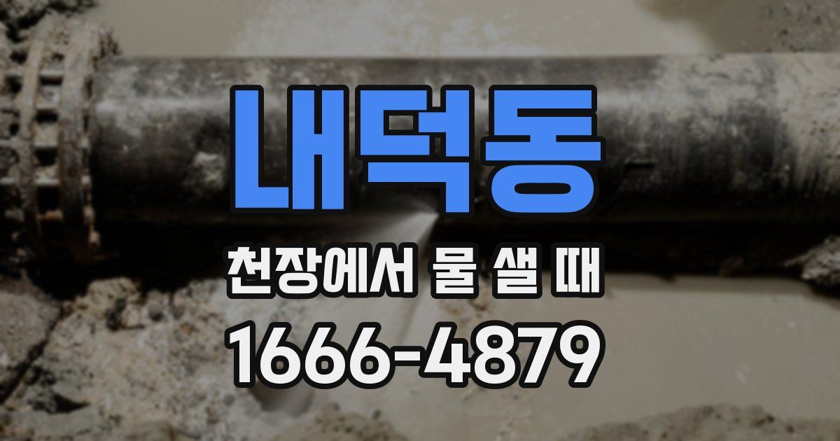 내덕동 천장에서 물 샐 때