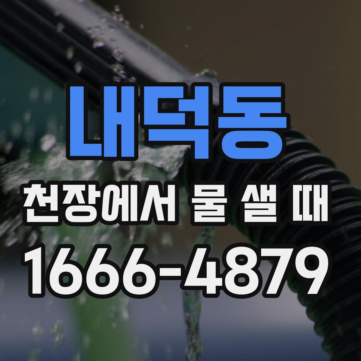 내덕동 천장에서 물 샐 때