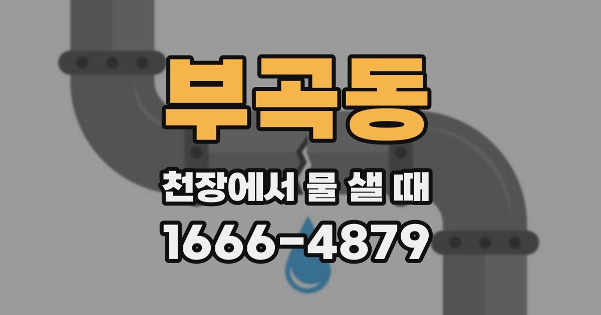부곡동 천장에서 물 샐 때