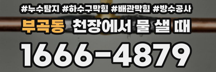 부곡동 천장에서 물 샐 때
