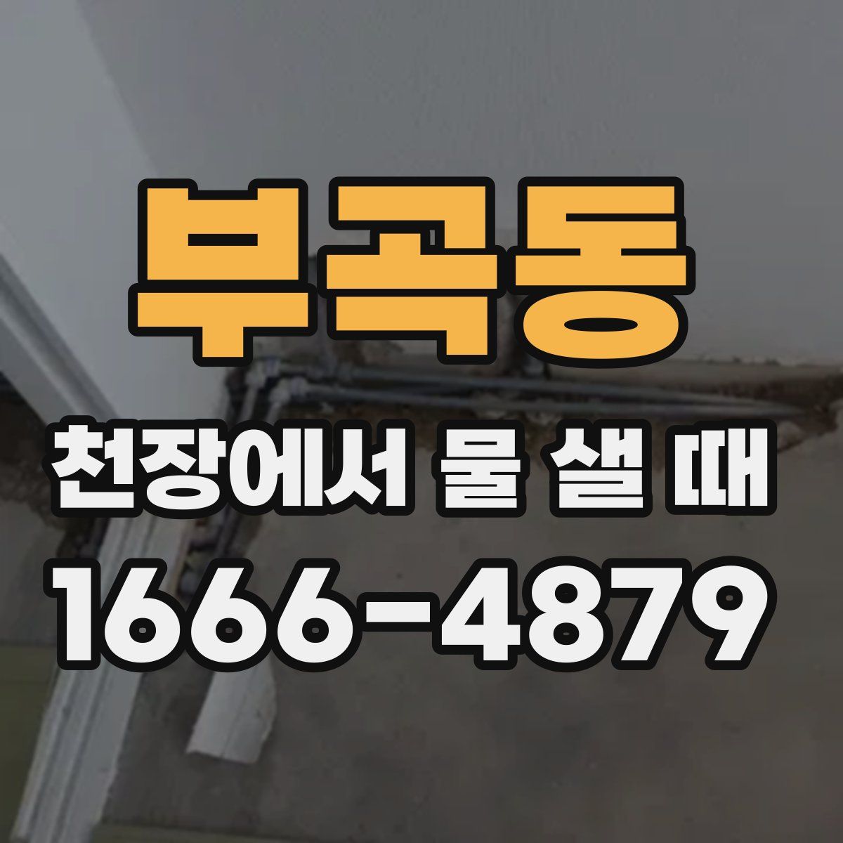 부곡동 천장에서 물 샐 때