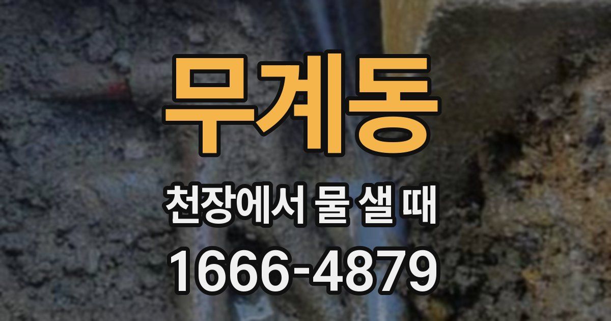 무계동 천장에서 물 샐 때