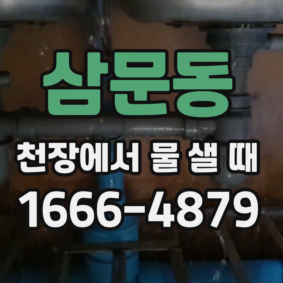삼문동 천장에서 물 샐 때