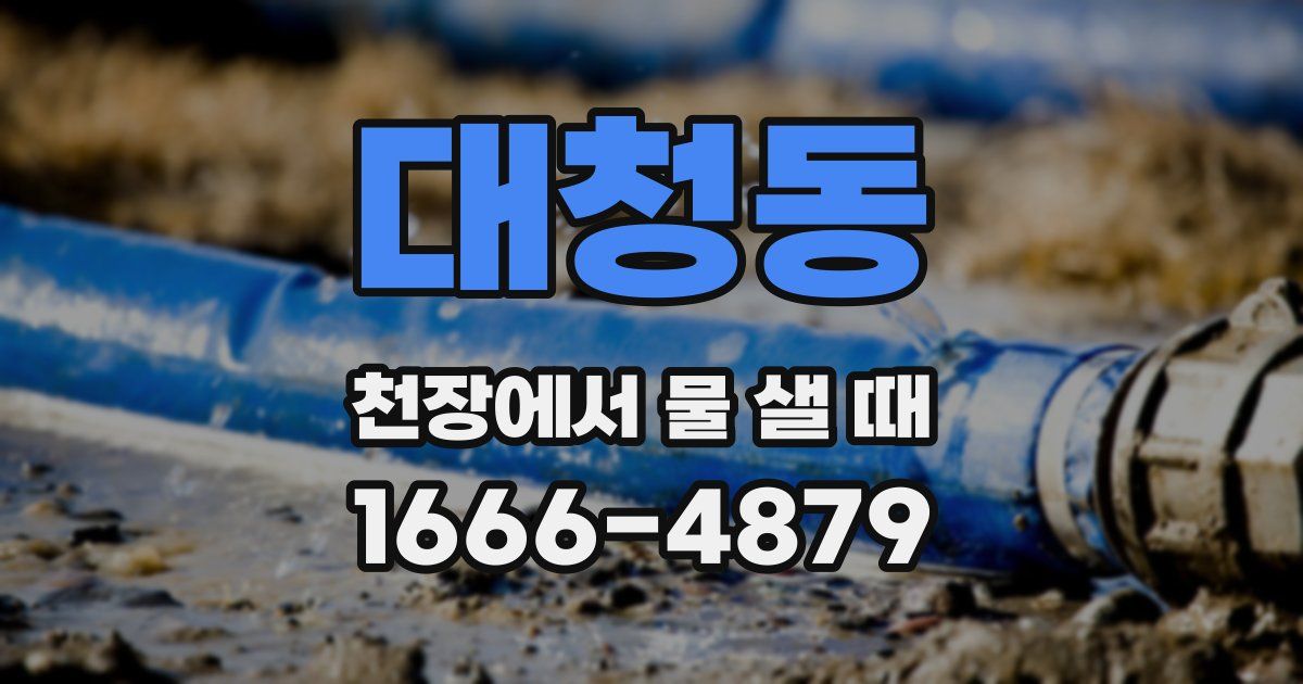 대청동 천장에서 물 샐 때