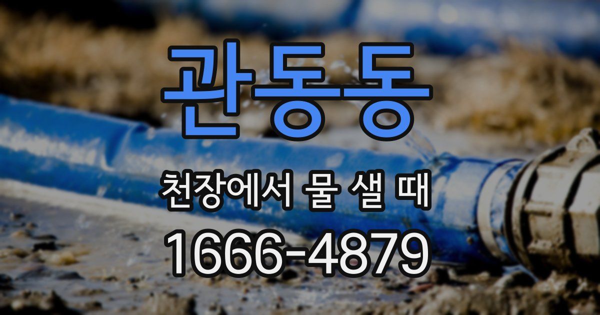 관동동 천장에서 물 샐 때