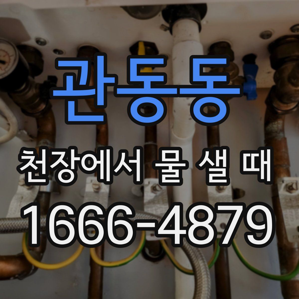 관동동 천장에서 물 샐 때
