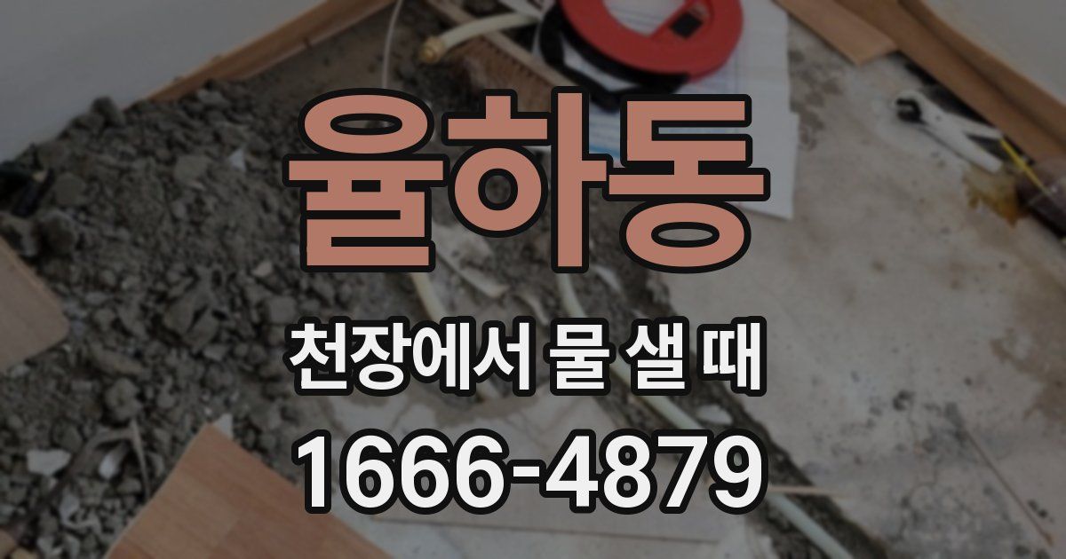 율하동 천장에서 물 샐 때