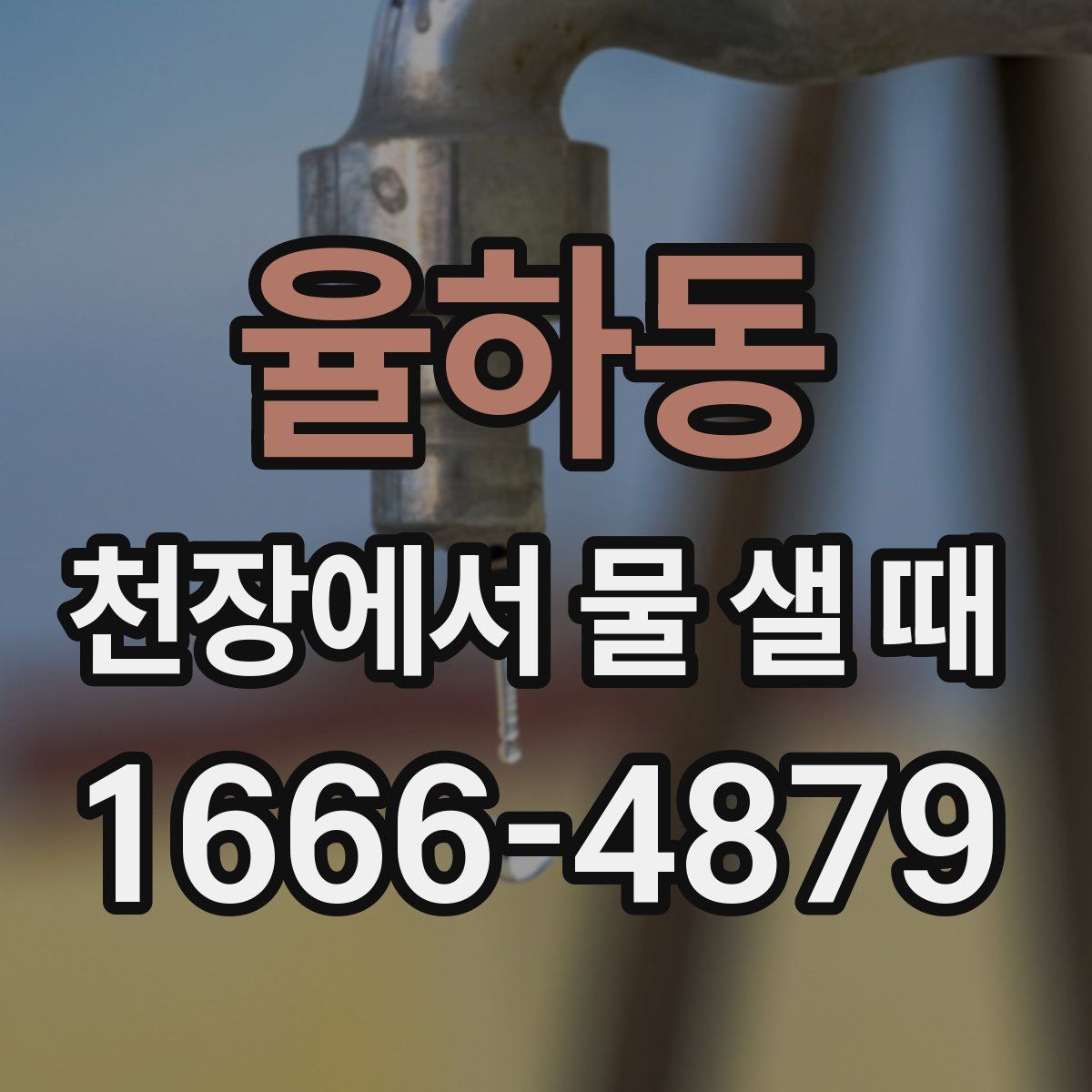 율하동 천장에서 물 샐 때