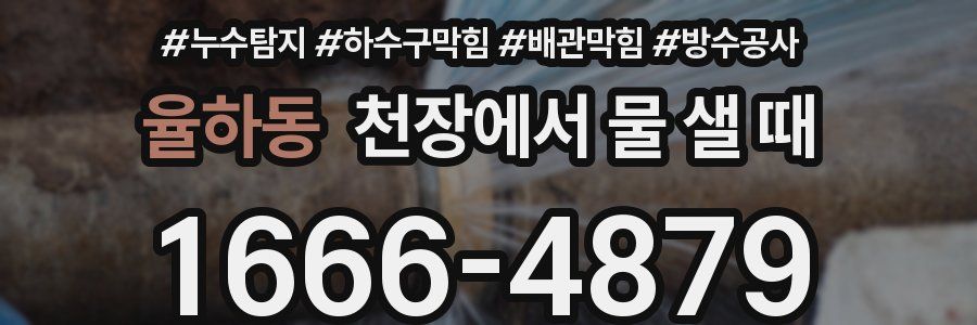 율하동 천장에서 물 샐 때