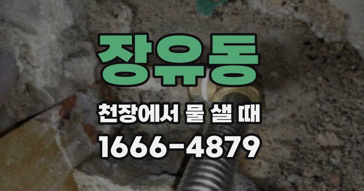 장유동 천장에서 물 샐 때