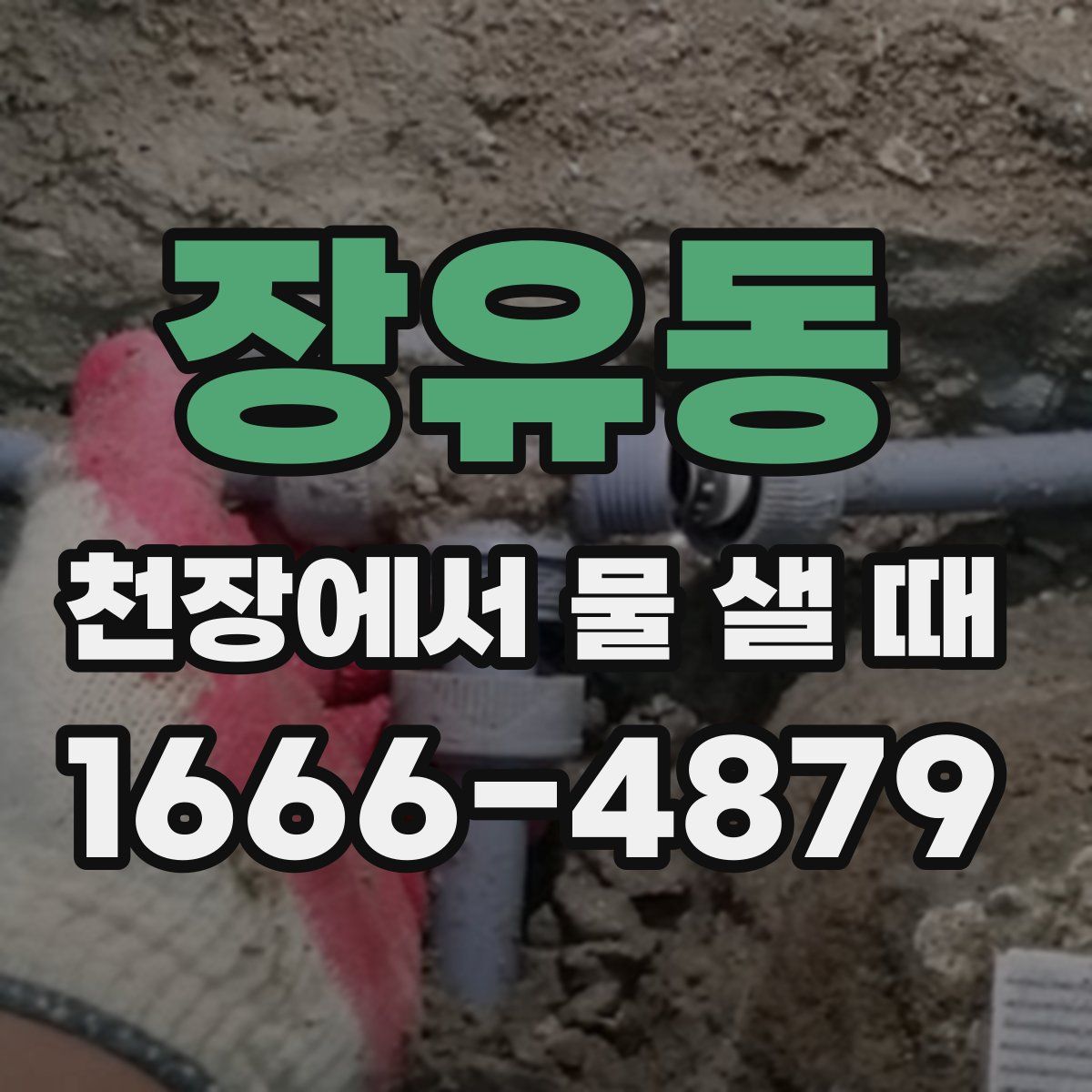 장유동 천장에서 물 샐 때