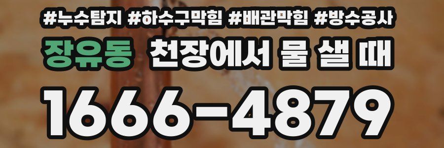 장유동 천장에서 물 샐 때