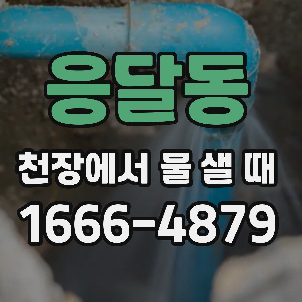 응달동 천장에서 물 샐 때