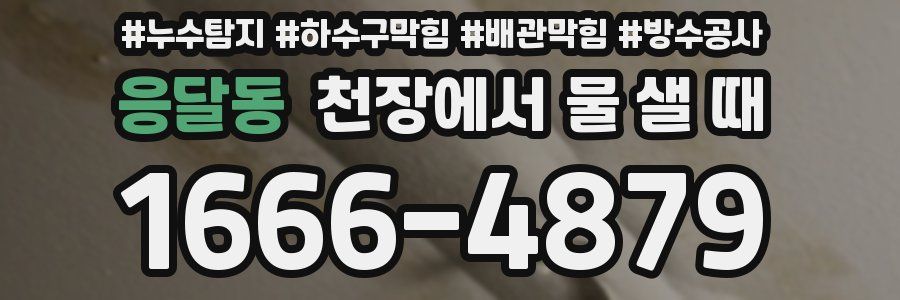 응달동 천장에서 물 샐 때