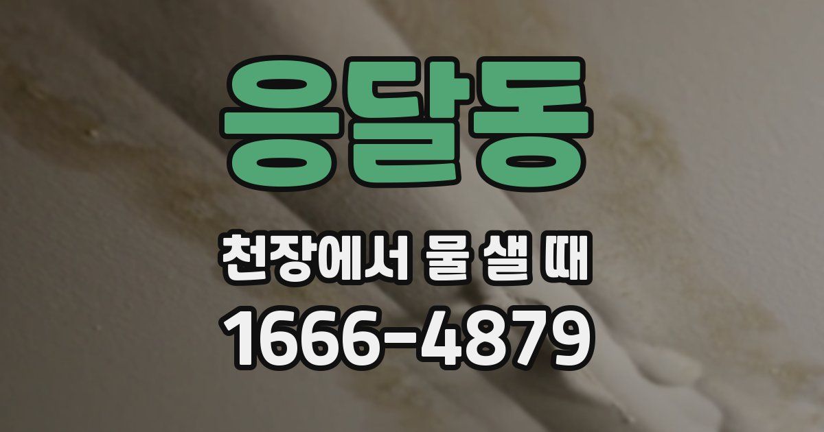 응달동 천장에서 물 샐 때