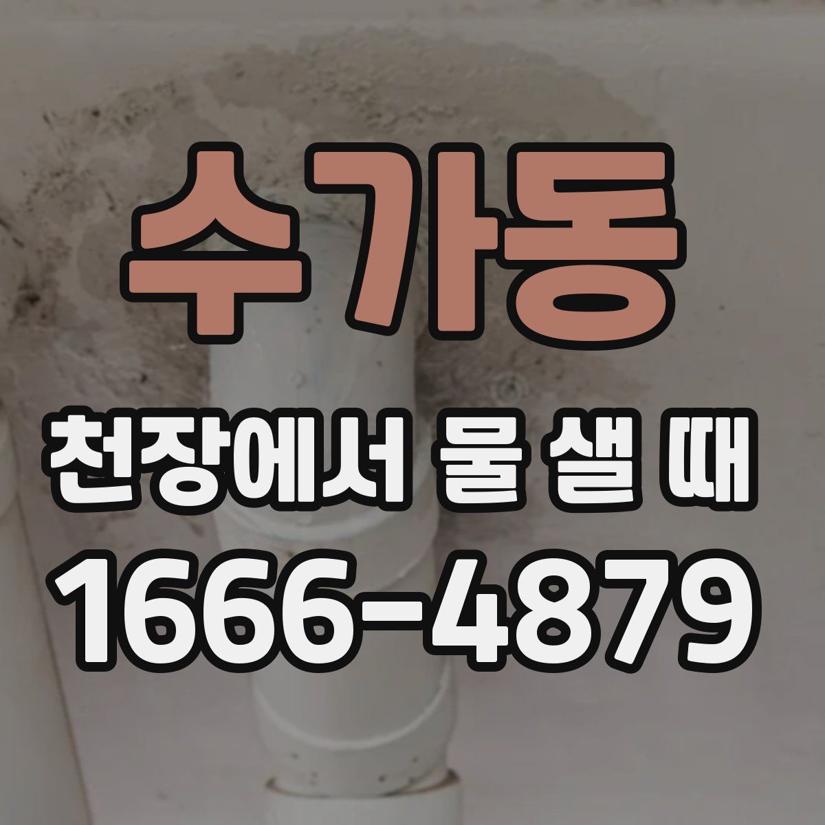 수가동 천장에서 물 샐 때