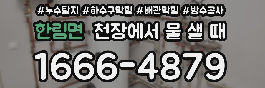 한림면 천장에서 물 샐 때
