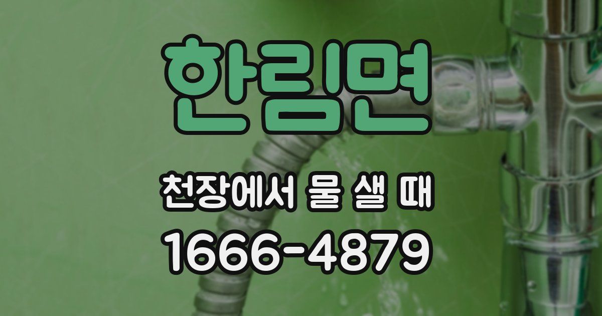 한림면 천장에서 물 샐 때