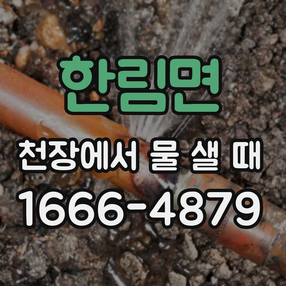 한림면 천장에서 물 샐 때