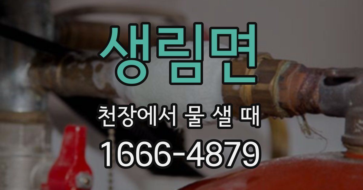 생림면 천장에서 물 샐 때