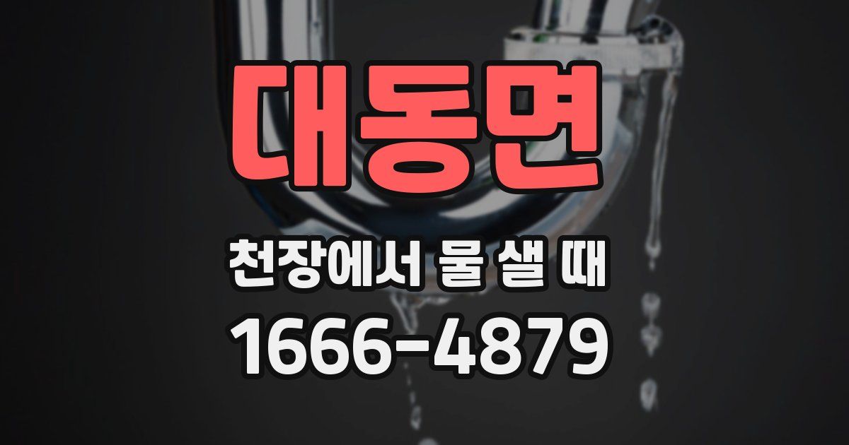 대동면 천장에서 물 샐 때