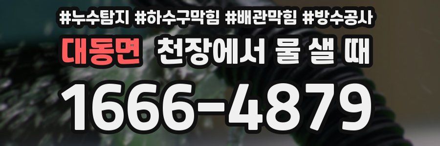 대동면 천장에서 물 샐 때